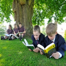 Семестр в США